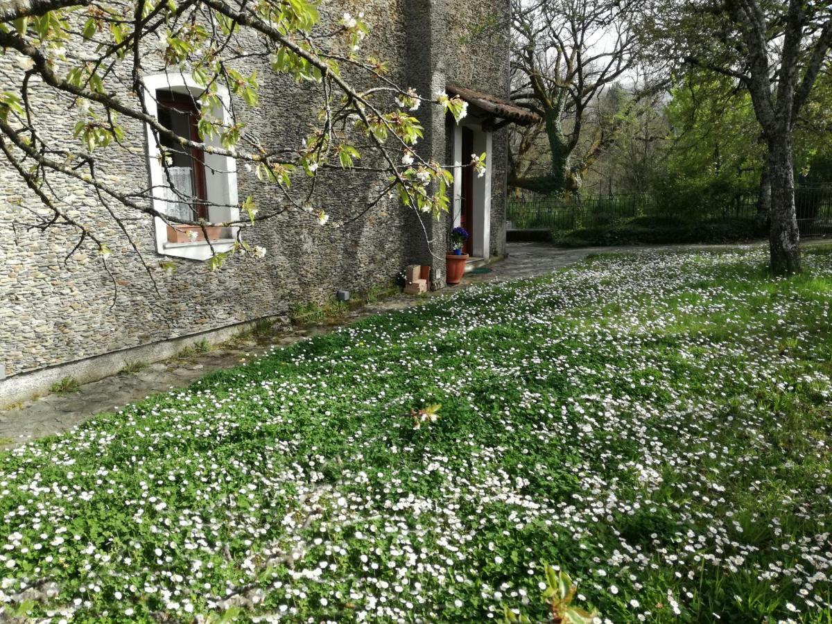 Casa Nel Verde Decollatura Exterior photo